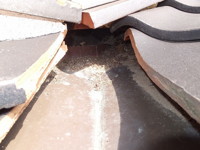 雨漏り対策は定期点検